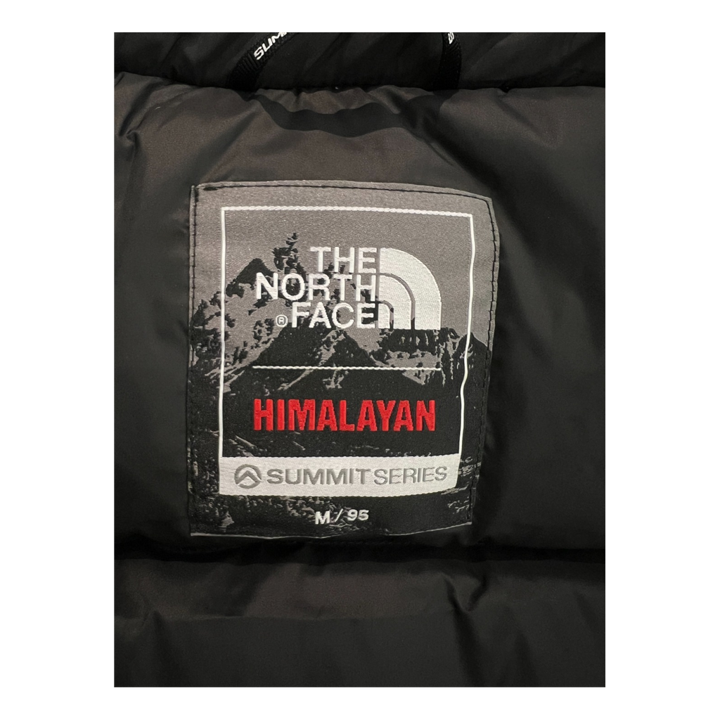 The North Face Himalayan Hooded Parka – 700-Fill Expedition Down