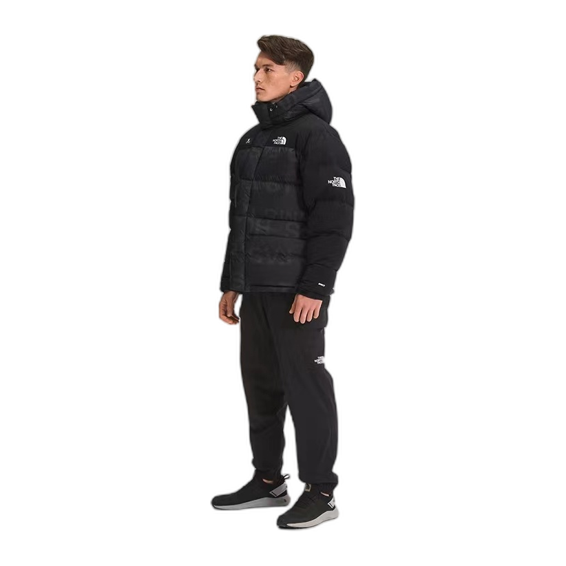 The North Face Urban Exploration Special Series Down Parka – Style 5J27