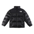 The North Face Contrast-Panel Stand-Collar Puffer Jacket – Street-Ready Edition